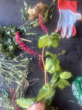 Create Your Own Natural Skincare Kit Workshop with renowned Herbalist Pat Collins, 2026