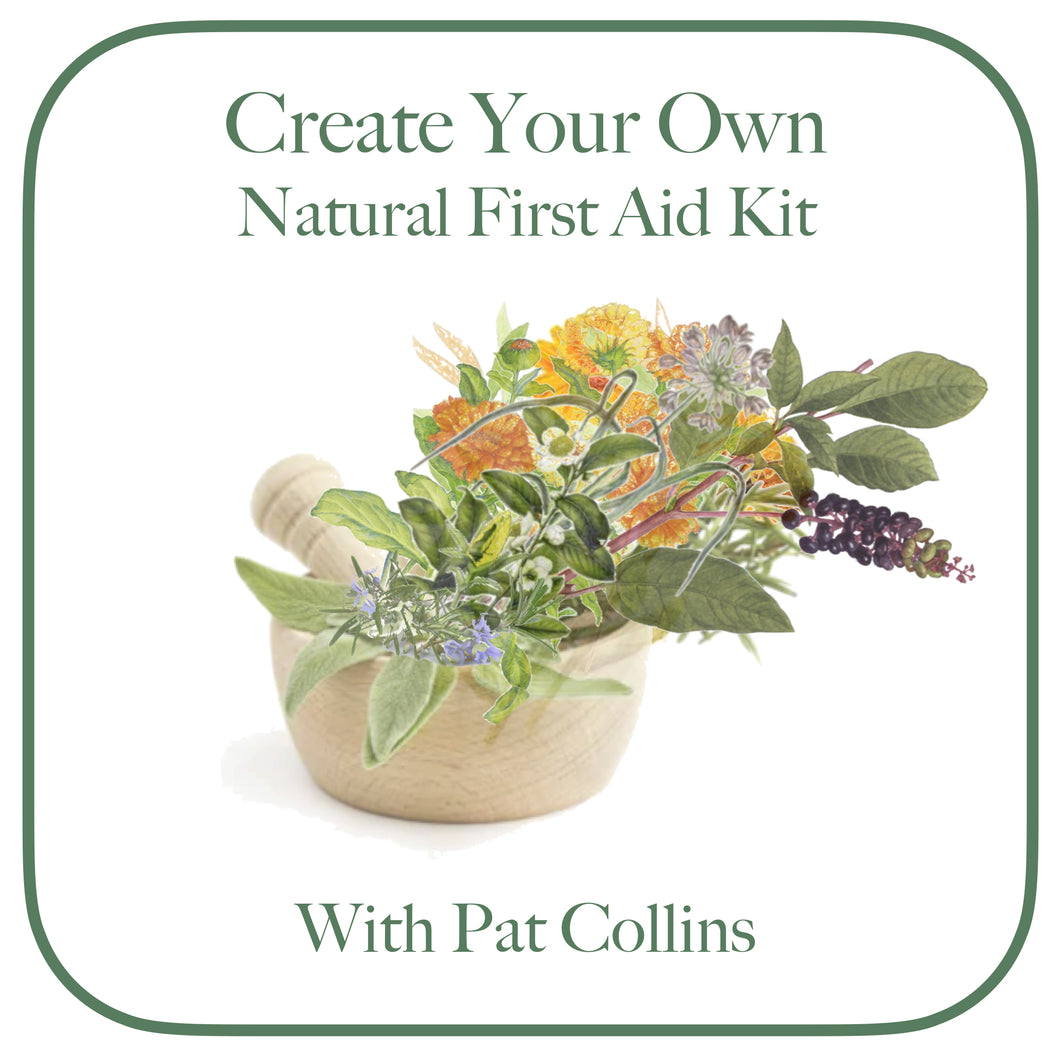 Create Your Own First Aid Kit Workshop with renowned Herbalist Pat Collins, 2024