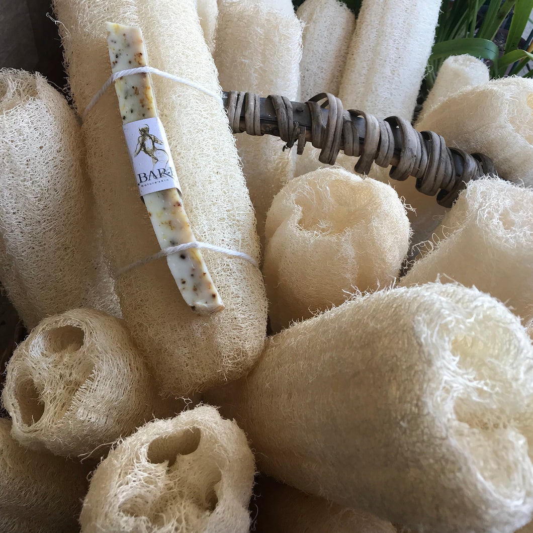 Luffa with Soap Insert